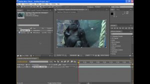 Импорт и Экспорт в Adobe After Effects