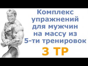 Комплекс упражнений для мужчин на массу из 5-ти тренировок (3 тр)