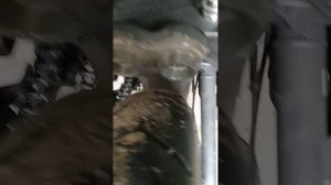Кавасаки вулкан 400, установка шин перед зад, больше чем указано в мануале смотрится ?