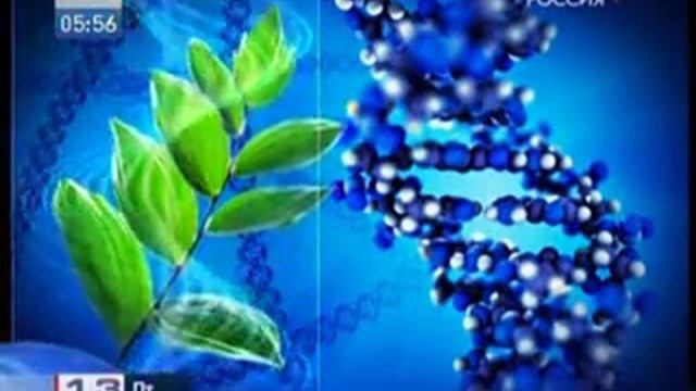 Каждому растению Земли будет присвоен штрих-код смотреть онлайн