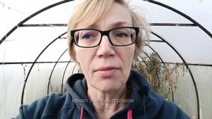 Сидераты.  Посев сидератов в теплице осенью.