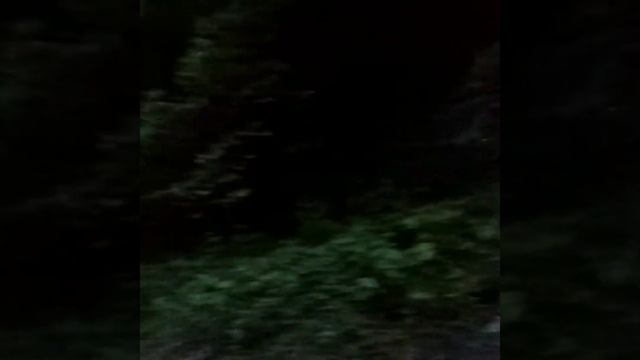 Самая красивая природа Дагестана! #горы #природа #река смотреть онлайн