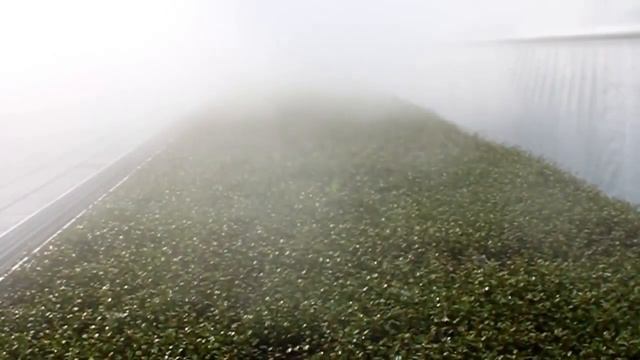 Система туманообразования от SAPFIR STUDIO Украина смотреть онлайн