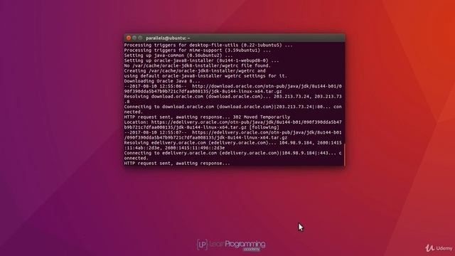 004 How to install JDK for Linux | DSA with Java смотреть онлайн
