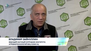 Наши сорта картофеля «Зырянец», «Вычегодский» и «Печорский» показали хорошую урожайность в НАО