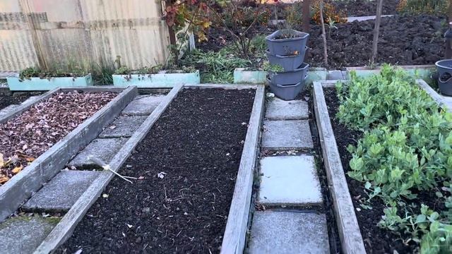 ГРЯДКИ ГОДОВЫ К ЗИМЕ❄️КАК ИХ ПОДГОТАВЛИВАЮ К СЛЕДУЮЩЕМУ СЕЗОНУ?? смотреть онлайн