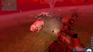 Прохождение STALKER Doppelganger 7.62 hint Poligon location