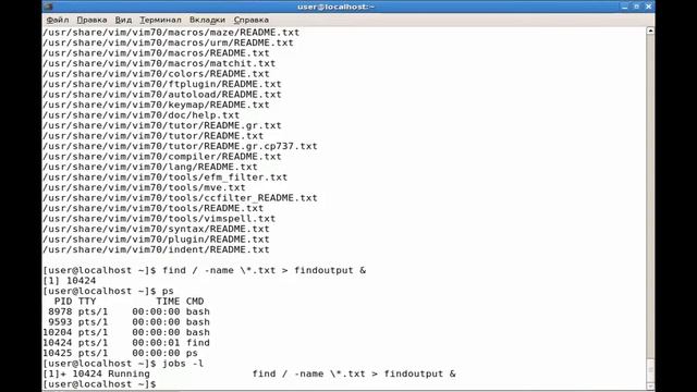 LPIC-1 Курс Linux для системного администратора: управление процессами Linux
