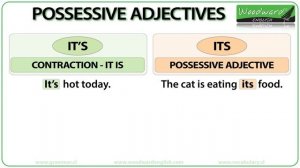 Possessive Adjectives in English - Grammar Lesson