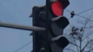 Светофор Светиться Красный Желтый и Зеленый
