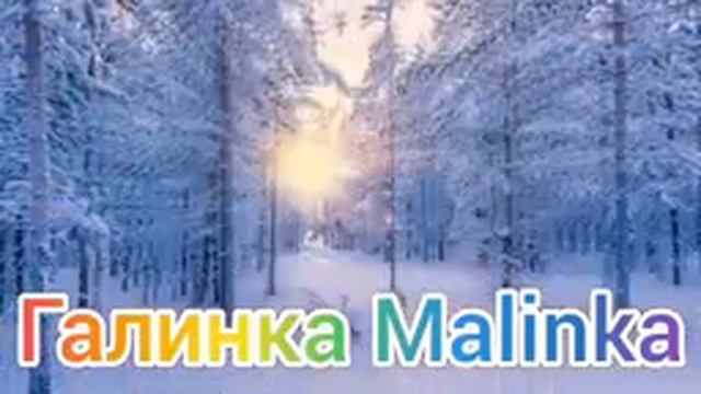 Ольга Уралочка live /Купание слона отменили /Обзор  /Уралочка и Сафар /В скафандре в брачную ночь /