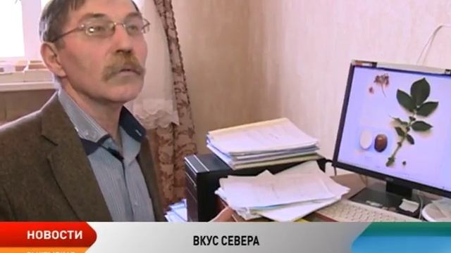 Селекционеры Республики Коми вывели морозоустойчивый сорт картофеля
