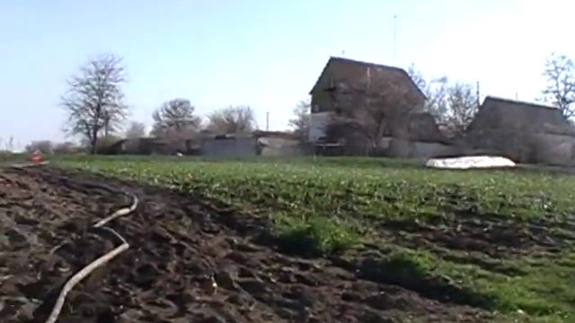 Туман. Полив. Чеснок,что получилось. смотреть онлайн