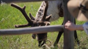 Уникальная Россия - Ысыах Туймаады 2023 в Якутии. Большой выпуск