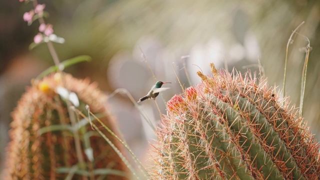 ФАНТОМ 4К смотреть онлайн