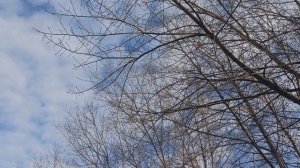 Узнайте ! Ваш магический дар и скрытые таланты по дате рождения...