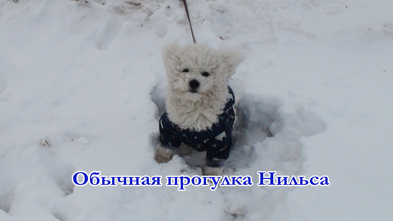 Прогулка Нильса