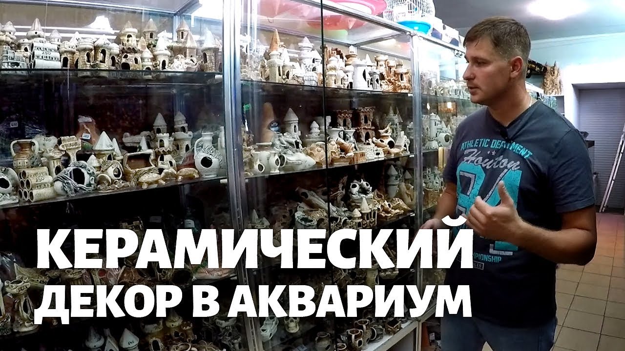 КЕРАМИКА ДЛЯ АКВАРИУМА. Как почистить керамический декор