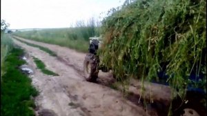 Заготовка сена_Мотоблок зубр 8 к.с