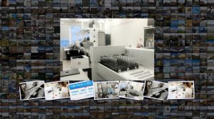 На заводе Нанолек в Кировской области запущен полный цикл производства препарата для ди