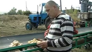 ООО "Агро-Союз" - производство картофеля