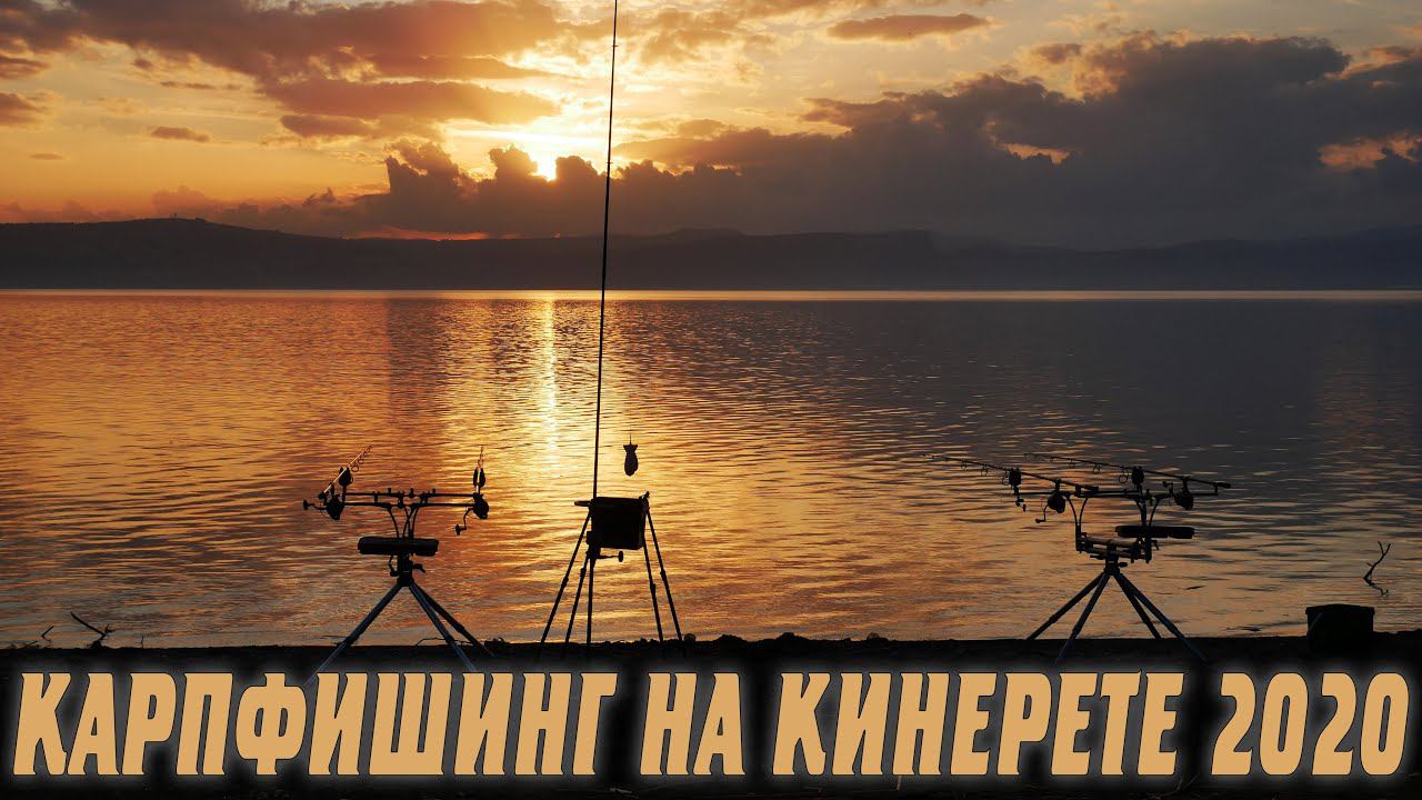 ЛОВЛЯ КАРПА НА МИКРО НАСАДКИ. Галилейский карп 2020. Часть 2