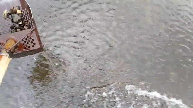 ОСЕННИЕ ВЫЛАЗКИ С ПРИБОРОМ.