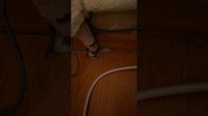 Не правильная укладка ламината