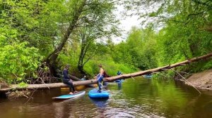Прогулка на SUP по реке Сестре