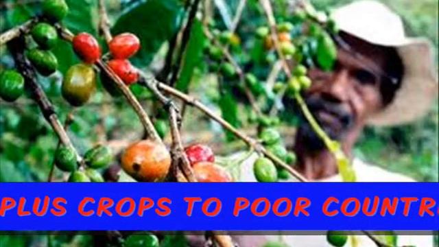 fair trade смотреть онлайн