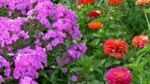 Невероятно красивая и нежная музыка для Души!