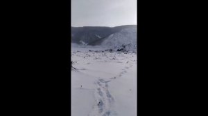 Хабаровский оползень. Оползень на р  Бурея будут расчищать с помощью авиации