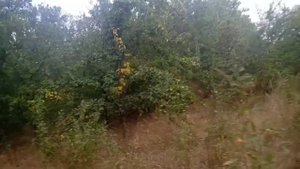 Как выглядит наш дом купленный за мат капитал в Ростовской области