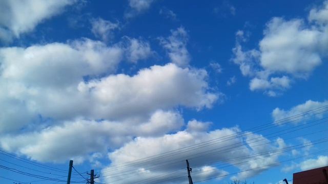 Пруд своими руками из бетона с биоплато. смотреть онлайн