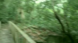 Реальные пришельцы сняты на камеру