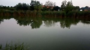 Карасунские озера.Краснодар.