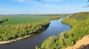 д. Кривоборье , Воронеж