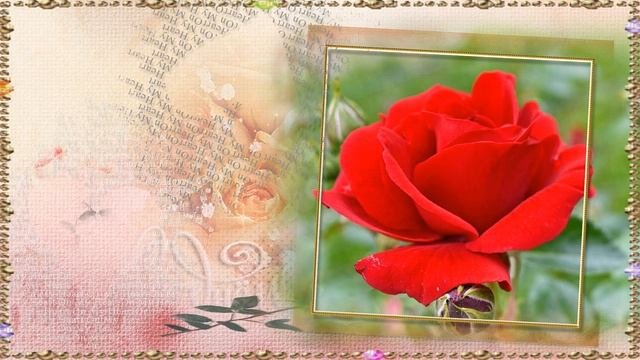С Днем Рождения женщине! / Поздравление с Днем Рождения женщине!