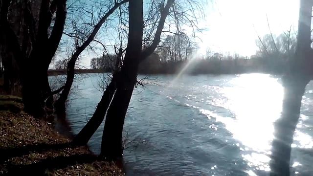 Водометный катер Кинель 480jet.
