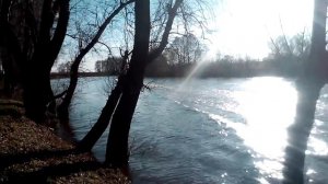 Водометный катер Кинель 480jet.
