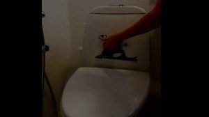 Как  наклеить наклейку для туалета