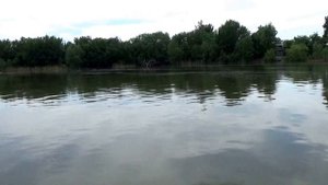 HIDEA 40Л.С.