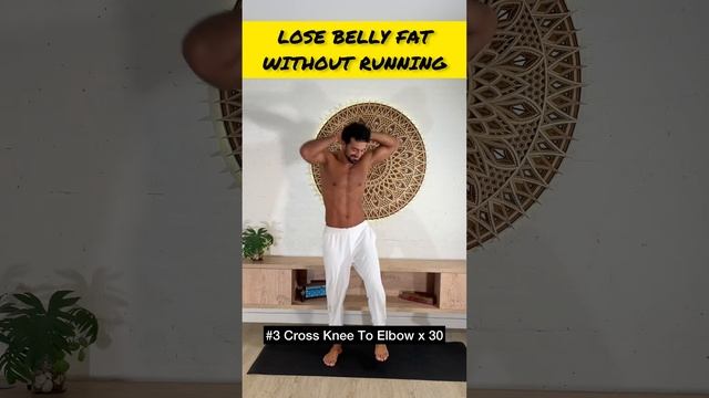 Lose fat without running