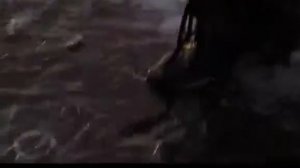 Уникальный остров Сахалин mp4