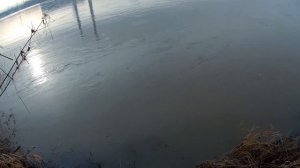 Рыбалка в ноябре, весенняя вода, закрыл сезон ершом