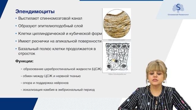 Нервная ткань. Часть 1