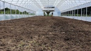 Подготовка почвы под клубнику и малину.