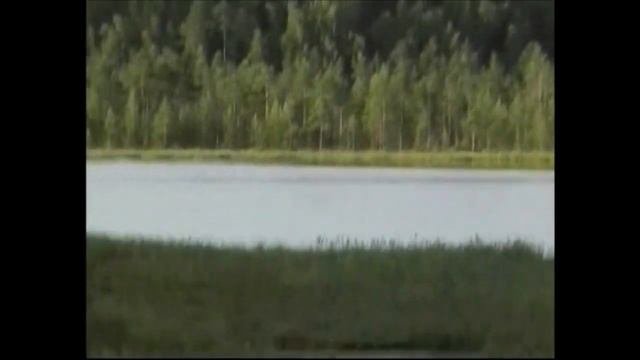 Лесное Озеро - Отдых - Боровичи - Жизнь в Деревне