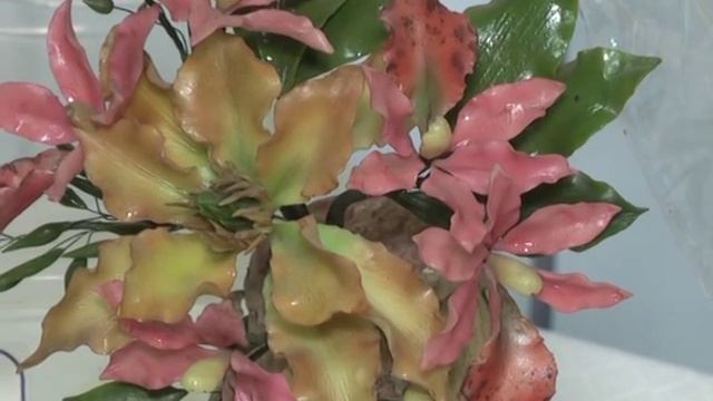 16.11.2015 День Рукоделия сюжет на РТВ смотреть онлайн