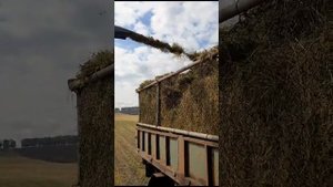 Уборка сенажа стерхом